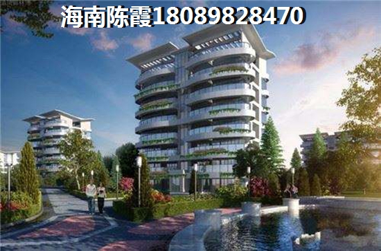 海南自貿(mào)港小戶型紙得touzi嗎？