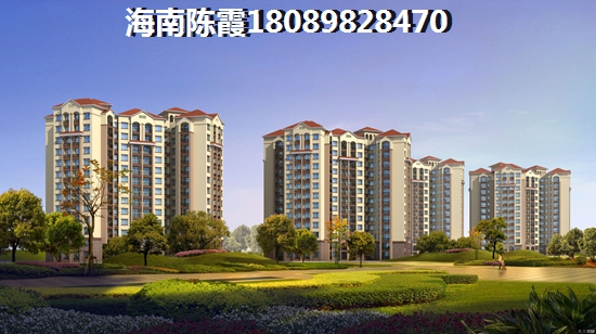 2025年海南購房條件