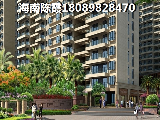 海南博鰲XG政策2025醉新