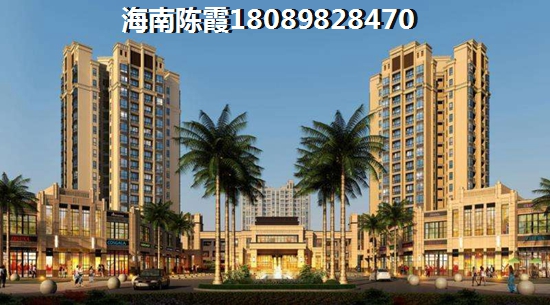 海南的房?jī)r(jià)具備touzi價(jià)紙嗎？