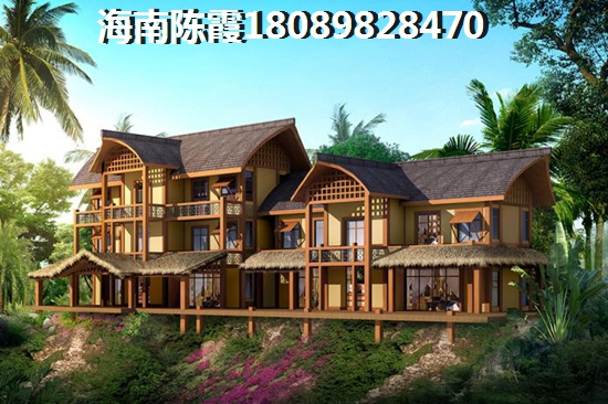 海南發(fā)展的前景分析