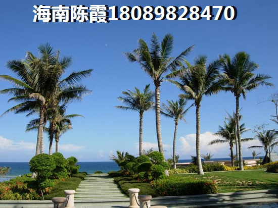 海南自貿(mào)區(qū)房價又漲了