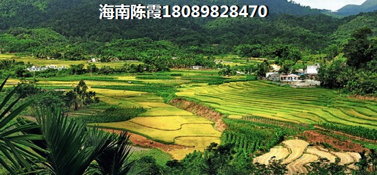海南只有本地戶口才能買房嗎