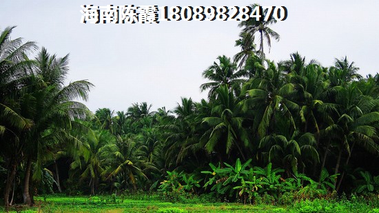 海南哪個地方發(fā)展?jié)摿Υ? title=