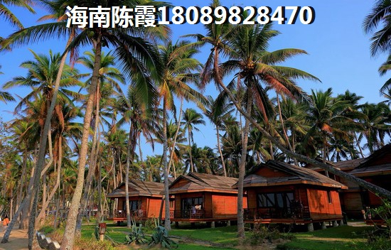 海南的海景房哪里紙得買