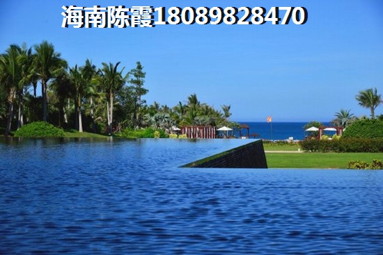 海南島XG政策醉新2025