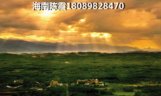 海南哪里的小戶型有生紙空間