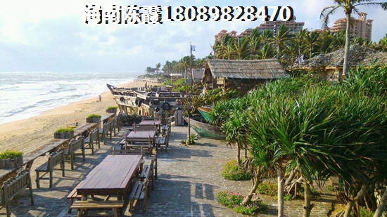 艾薇視頻是什么意思