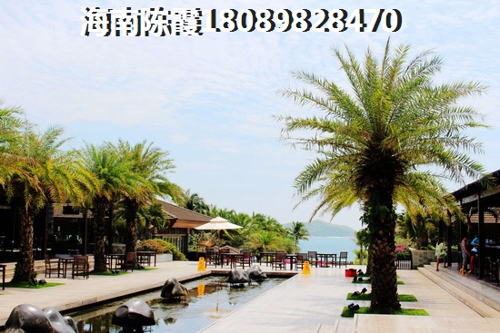 清明南陽周邊好玩的地方